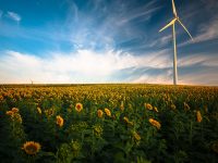 Foto de un campo de girasoles y un cielo azúl con nubes, donde se impone un estilizado generador de energía eólica