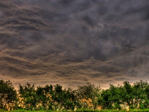 Foto de nubes oscuras sobre un horizonte brillante con árboles