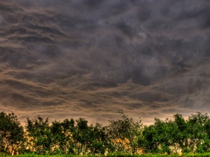 Foto de nubes oscuras sobre un horizonte brillante con árboles